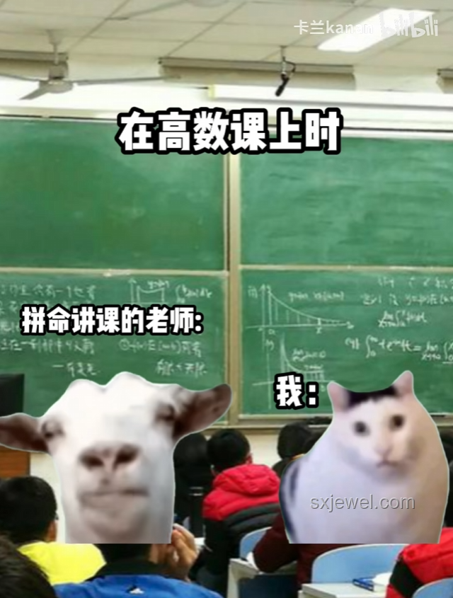 大司马猫meme：网络迷因的娱乐与情感共鸣
